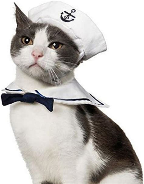 sailor costume cat|NAMSAN Pet Sailor Costume for Cats Small Dogs Halloween Cat .